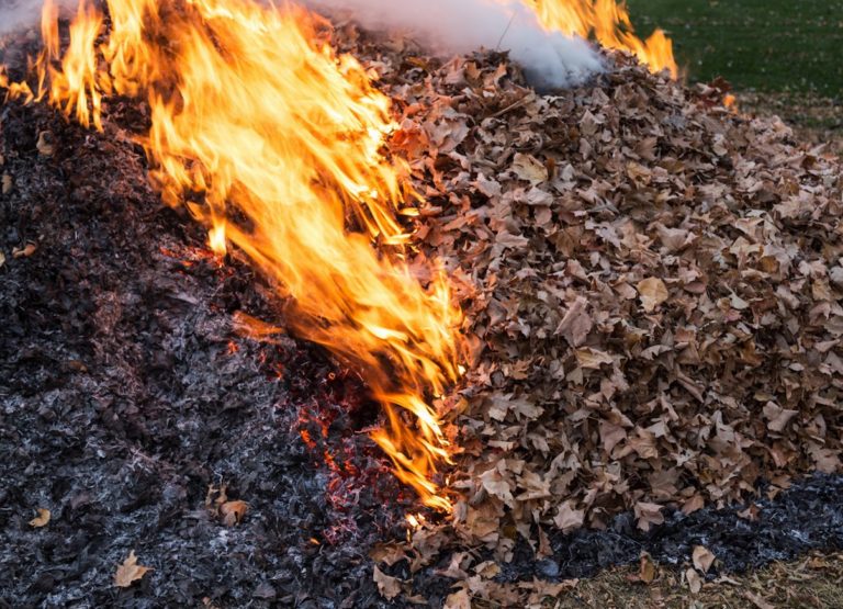 Burning the Leaves in the Fall I Remember JFK A Baby Boomer's